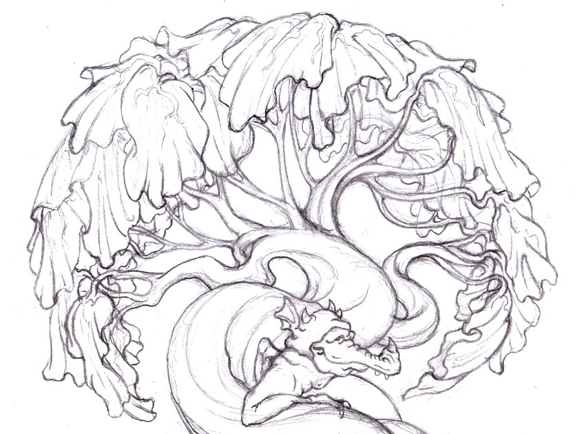 Magellin . Blog Dragon tree