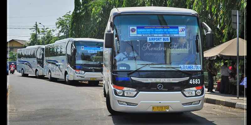 Tarif Bus Pariwisata Damri: Panduan Lengkap untuk Perencanaan Perjalanan Anda