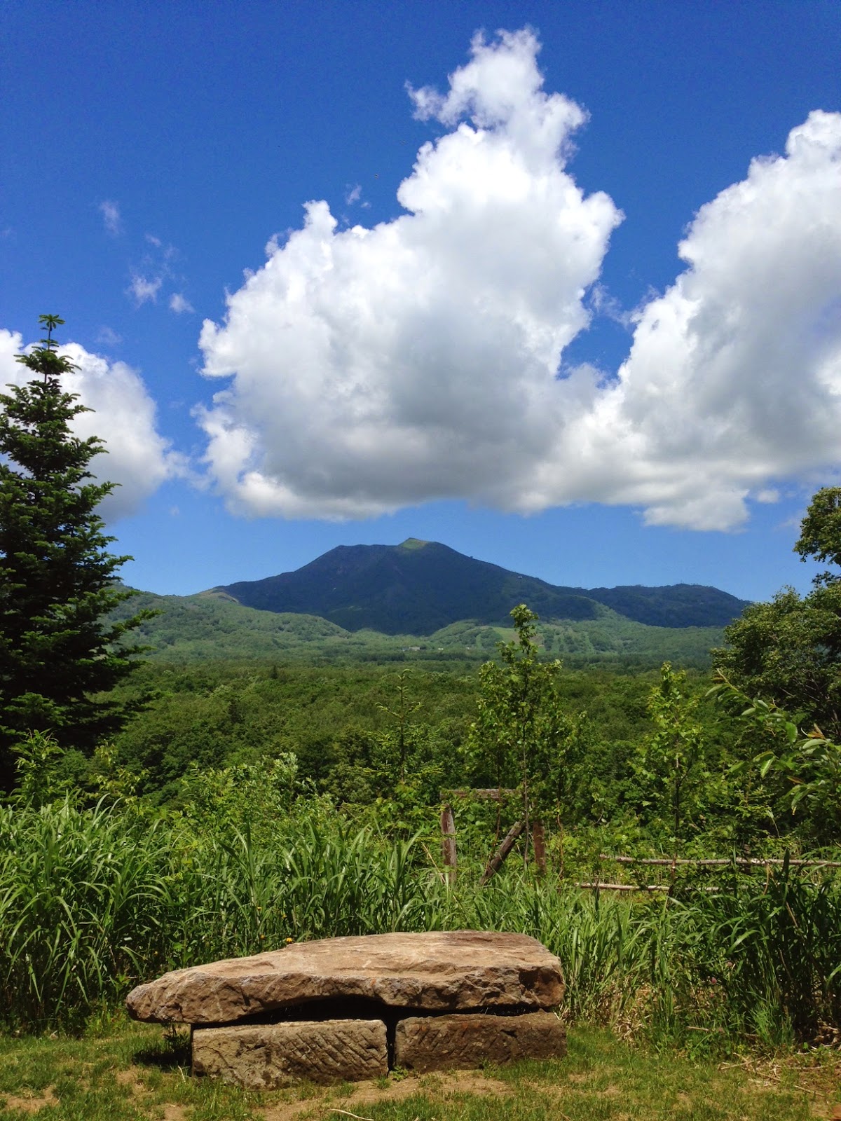 Niseko Sahina Camp Ground いよいよ夏キャンプ本番