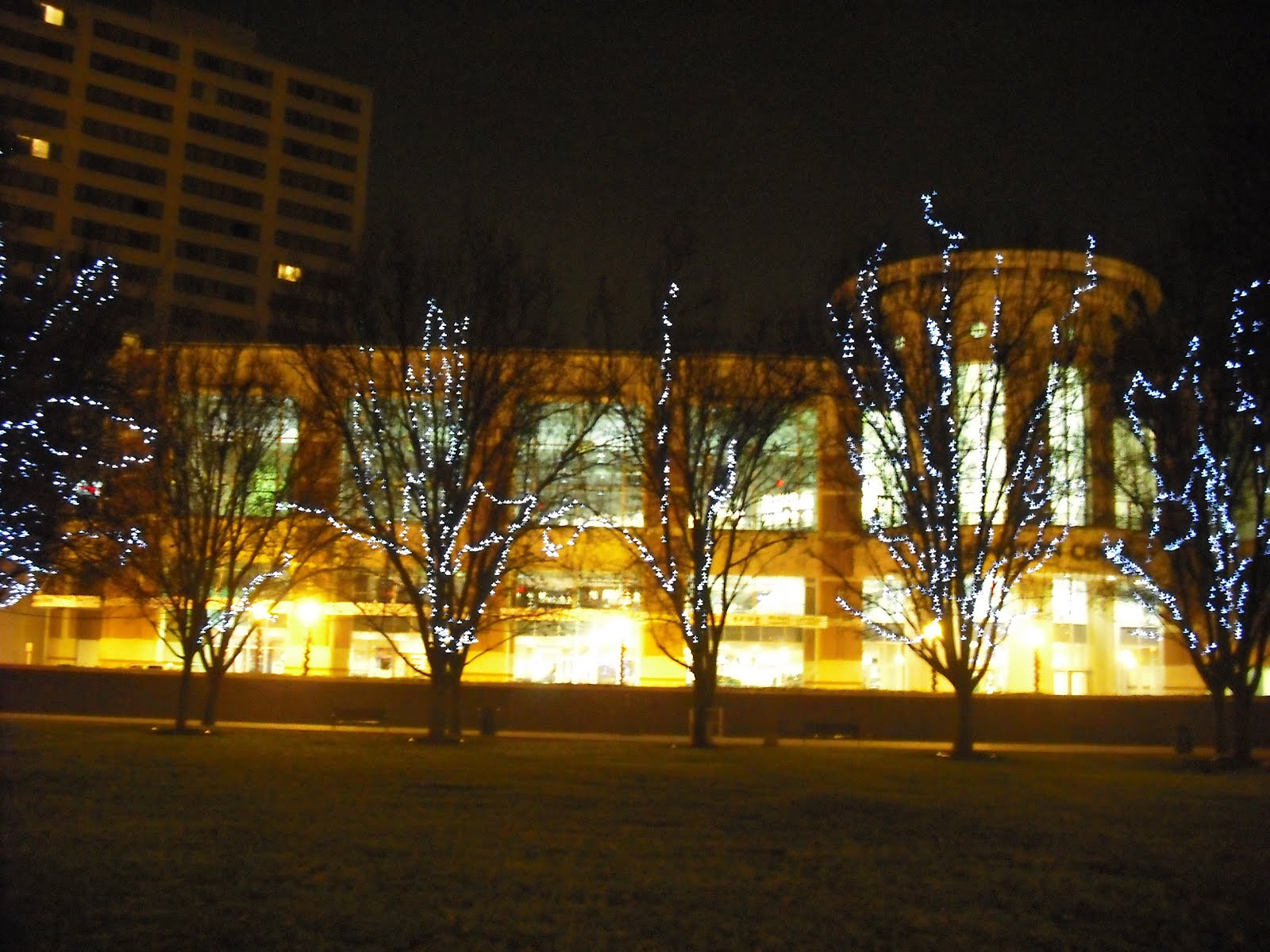 Kentucky Travels Lexington at Christmas