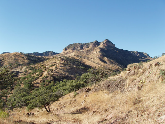Mountain+Ranch+for+Coues+Deer+in+Sonora+Mexico+with+Colburn+and+Scott+Outfitters+4.JPG