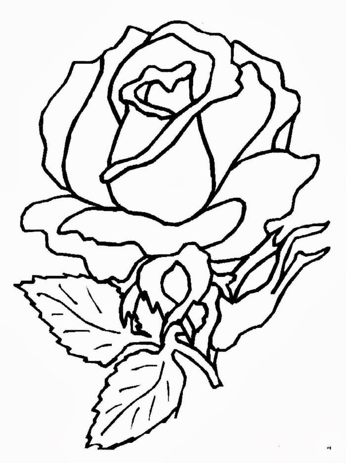 WINDOWCOLOR MALVORLAGEN