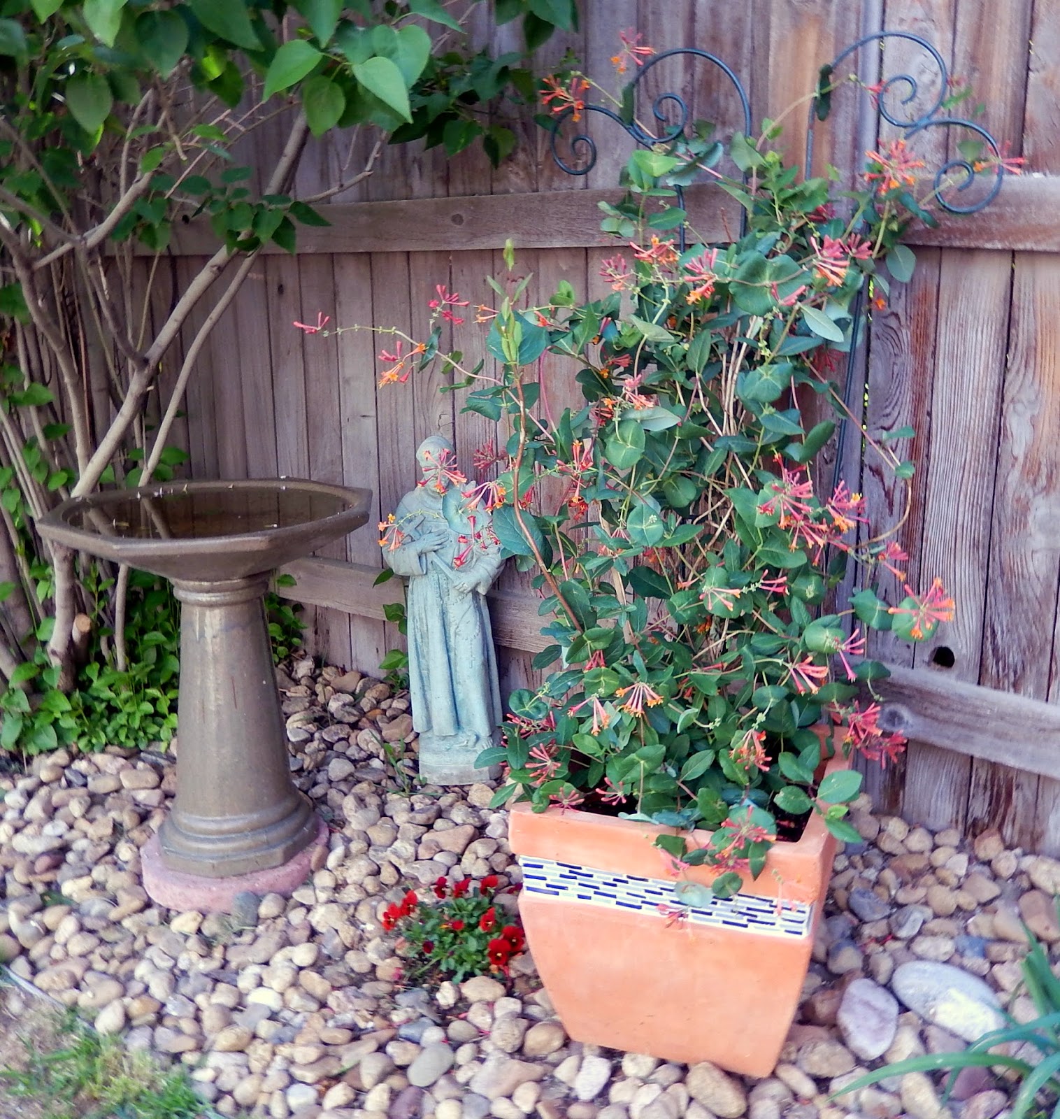 Vintage Vertigo Container Gardening or I have the small yard blues