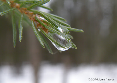 grasping for water