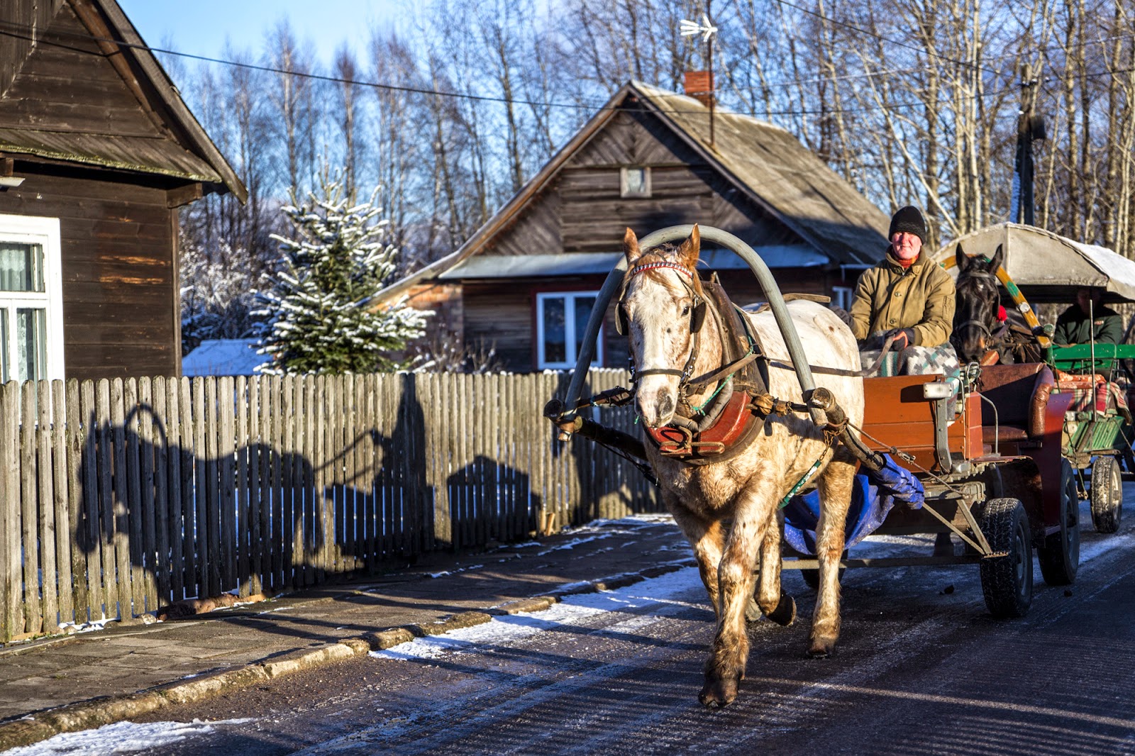 Gwiazdka w Puszczy - Ania w Podróży