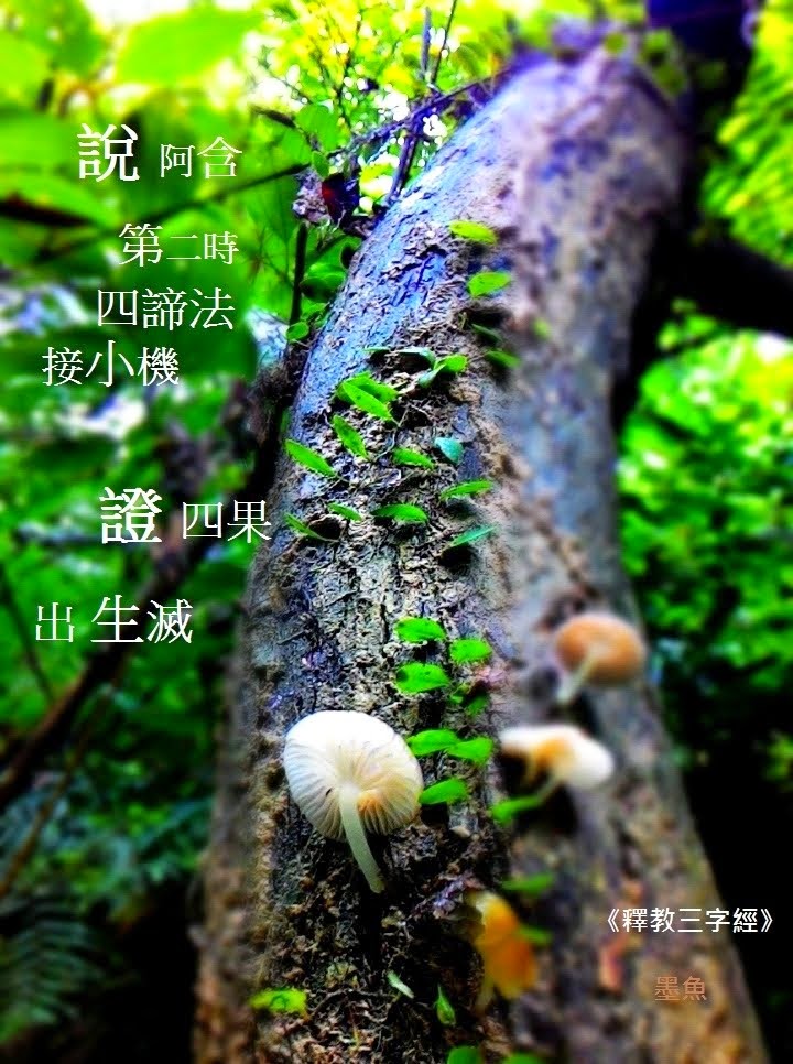 《說阿含》