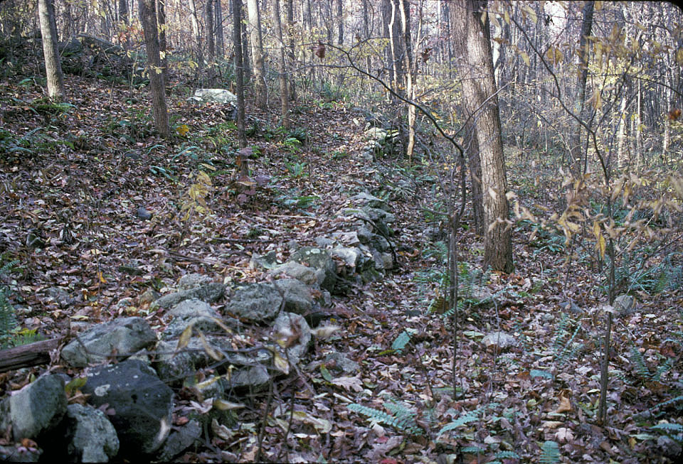 Rock Piles Track Rock Gap from Norman Muller