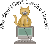 catch mouse