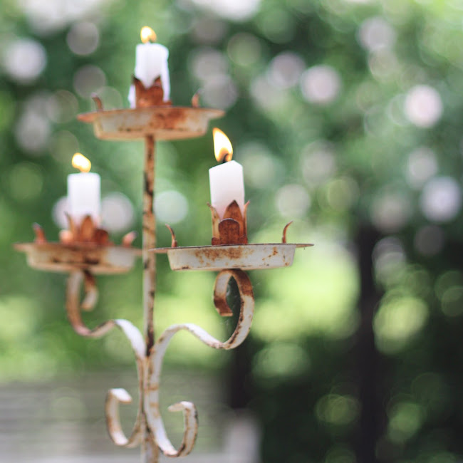 erin's art and gardens french candle holders as tomato stakes...