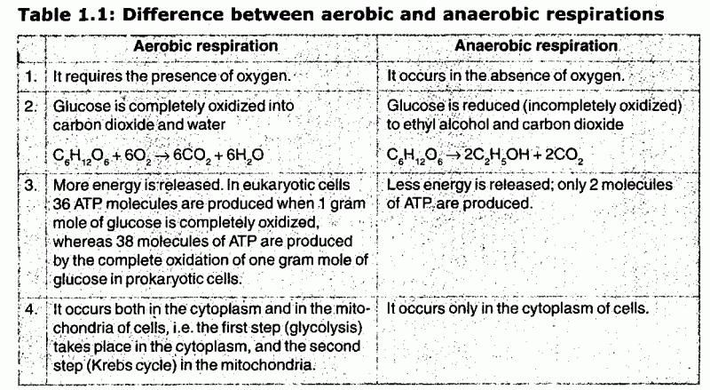 aerobic essay question respiration aerobic essay question respiration