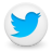 Twitter circular Social Icon