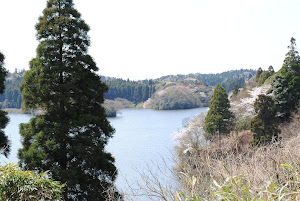 新築一戸建て　土地　購入　注意点　ポイント