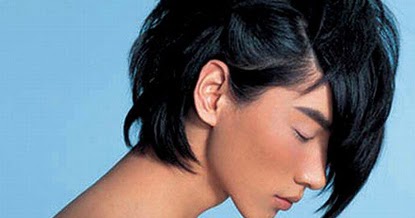 Disabledbirderofhalling Hairstyles For Long Black Asian Hair