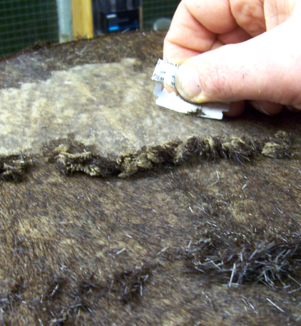 How to reskin a djembe drum How to reskin a broken djembe drum