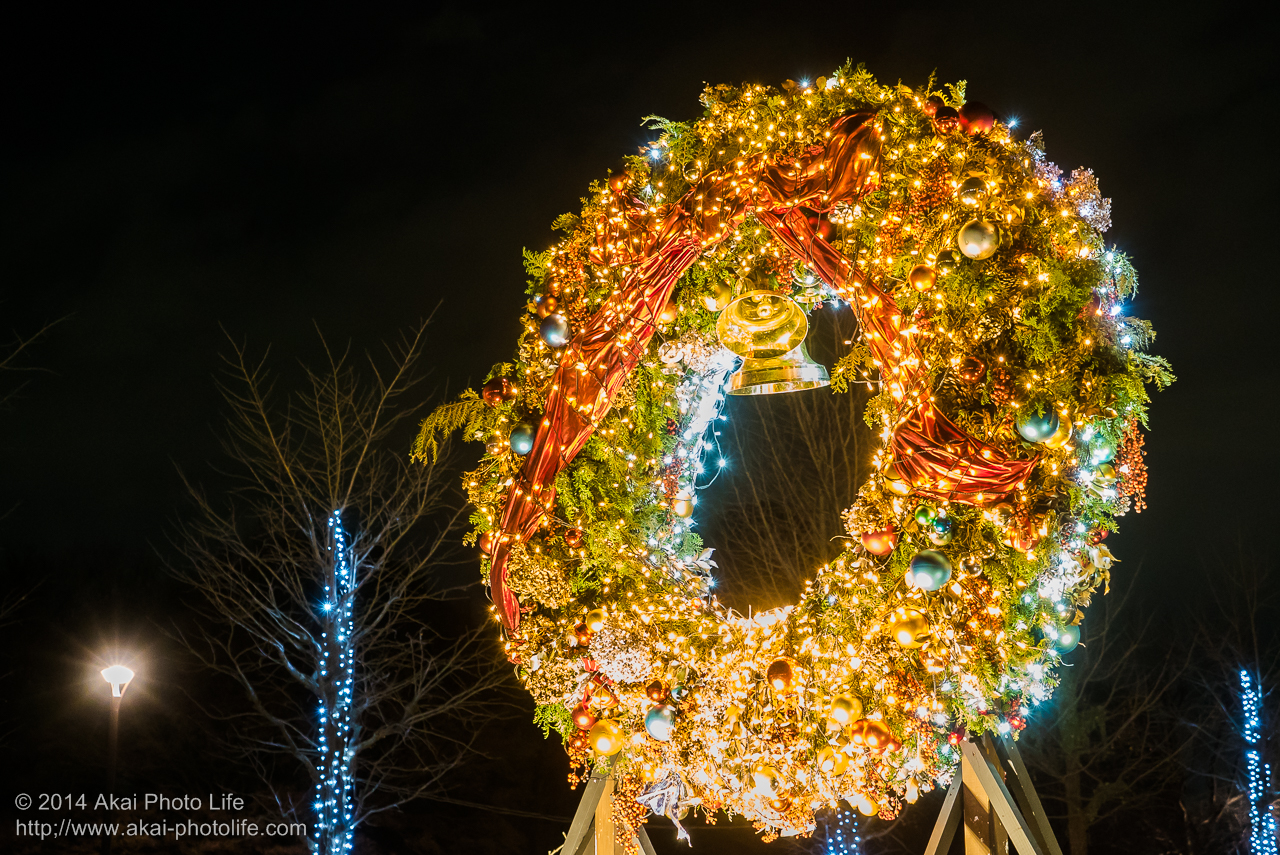 国営昭和記念公園のイルミネーション(巨大クリスマスリーフ)