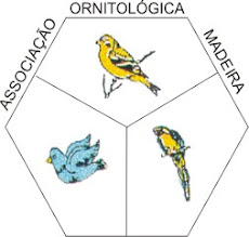 Associação Ornitológica da Madeira