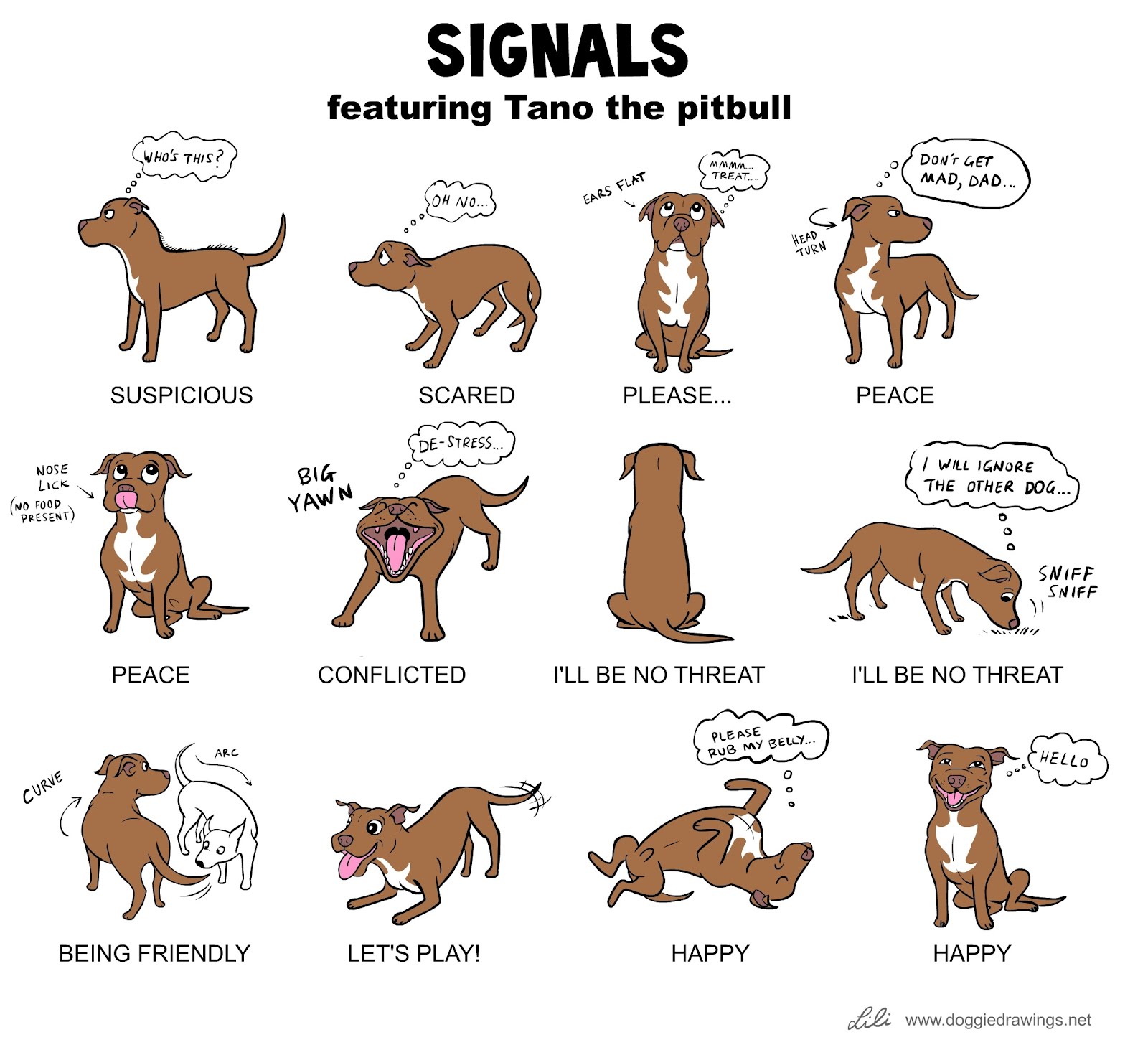 dogs communication