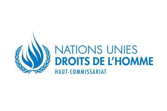 Haut-Commissariat des Nations unies aux droits de l'homme