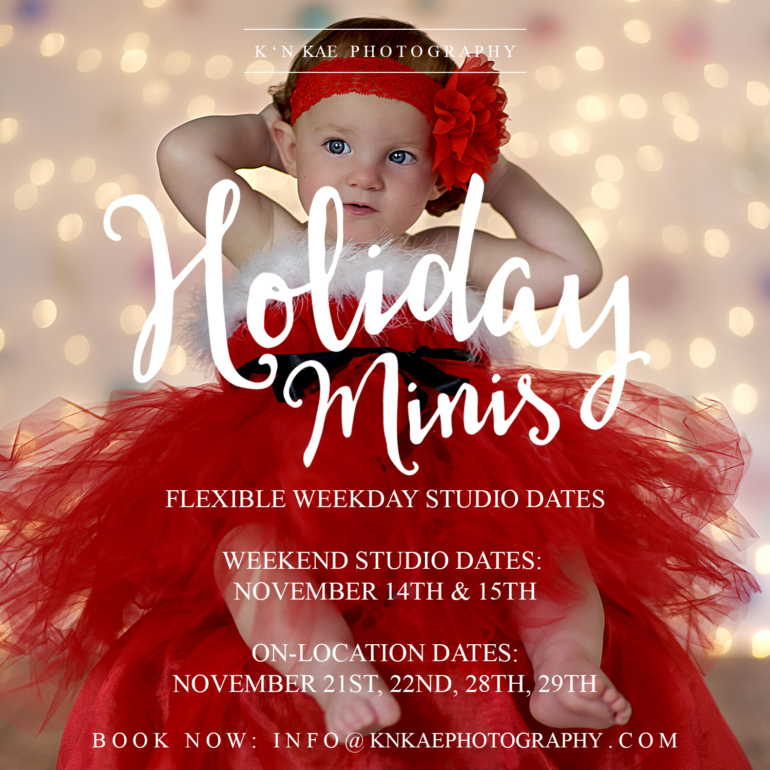 christmas 2015 holiday minis book now to secure availability first come first serve - 2015 Christmas Specials christmas 2015 holiday minis book now to secure availability first come first serve - 2015 Christmas Specials