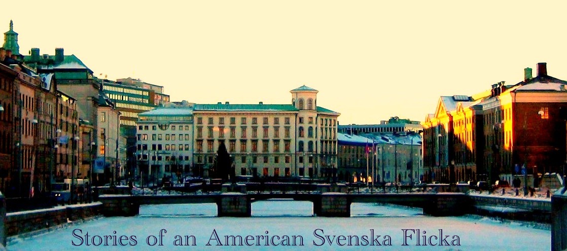 Stories of an American Svenska Flicka