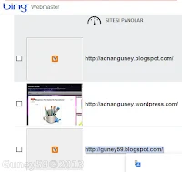 Bing siteler panosu