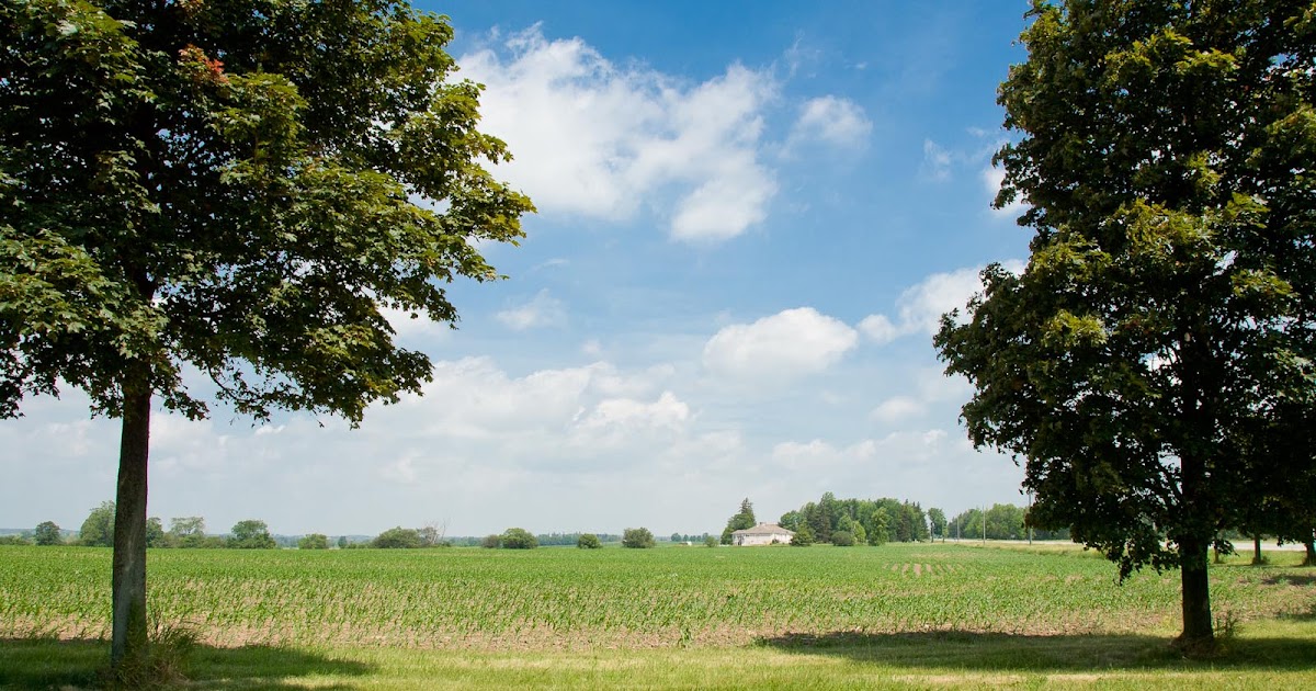 A boring landscape