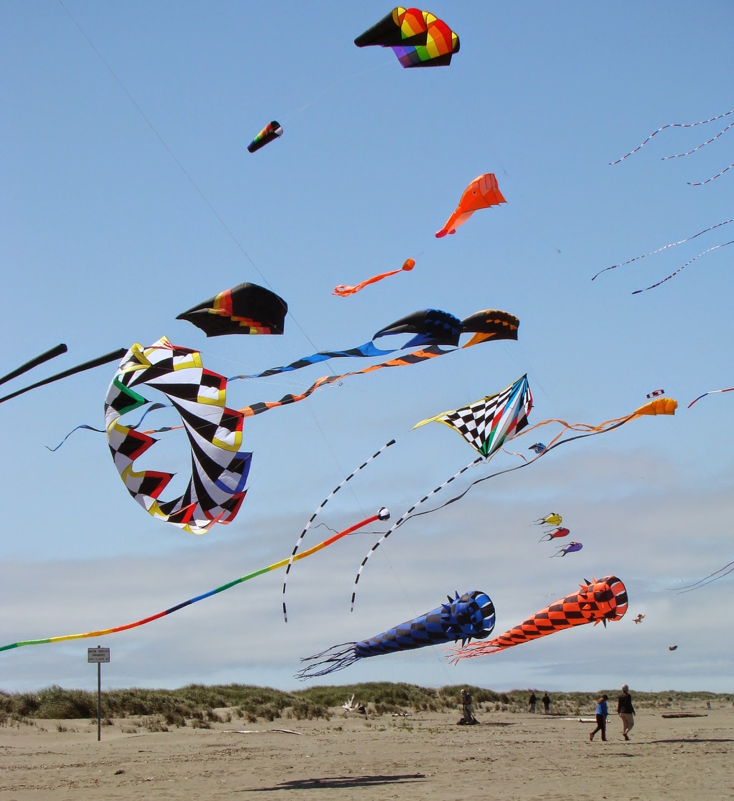 Ocean Shores and North Beach Real Estate along the Washington Coast