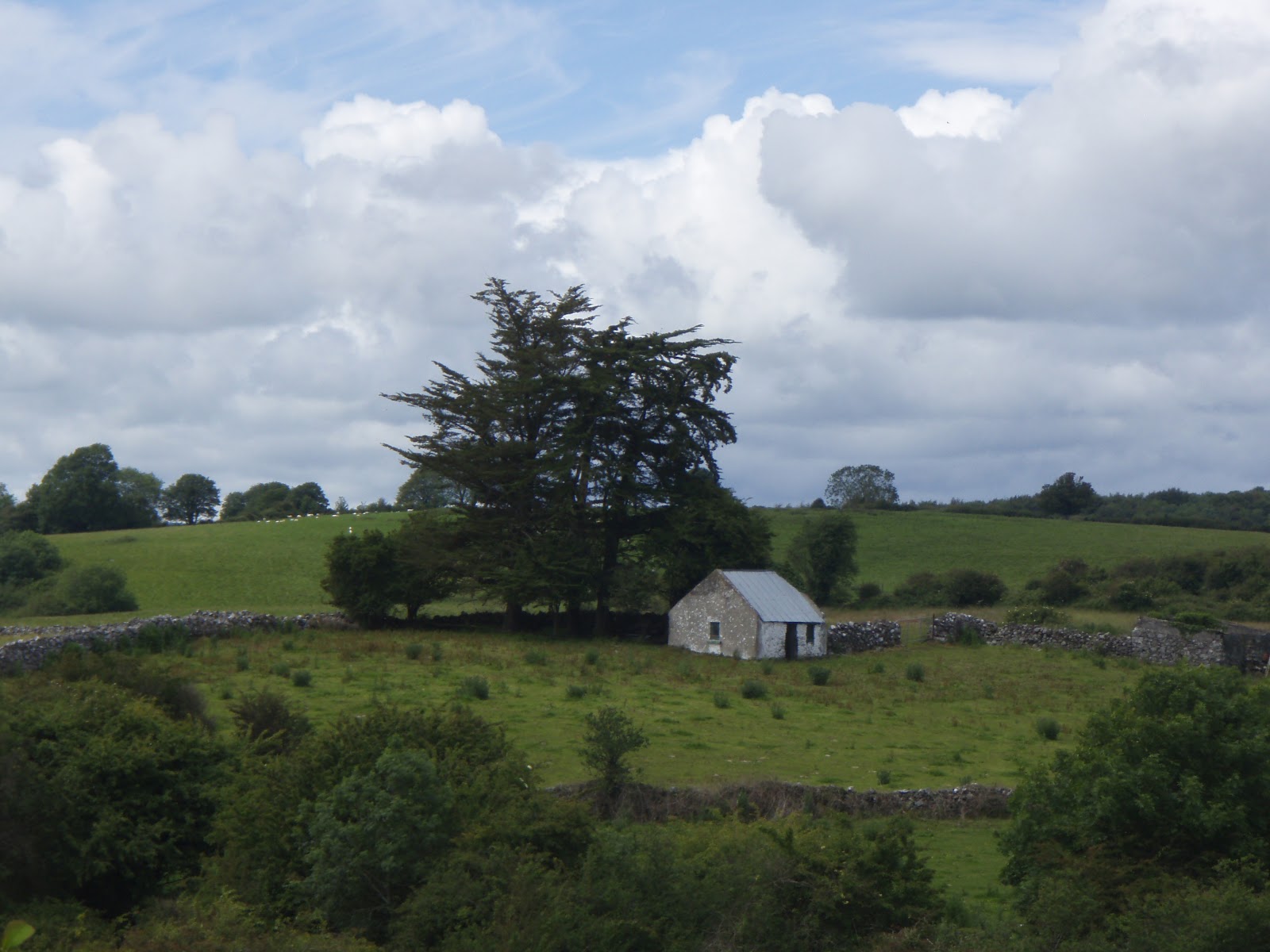 the lonely house the lonely house