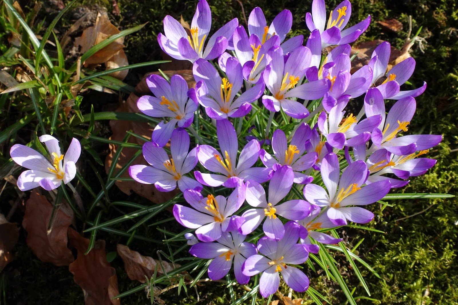 une rencontre c est une chose rare et merveilleuse