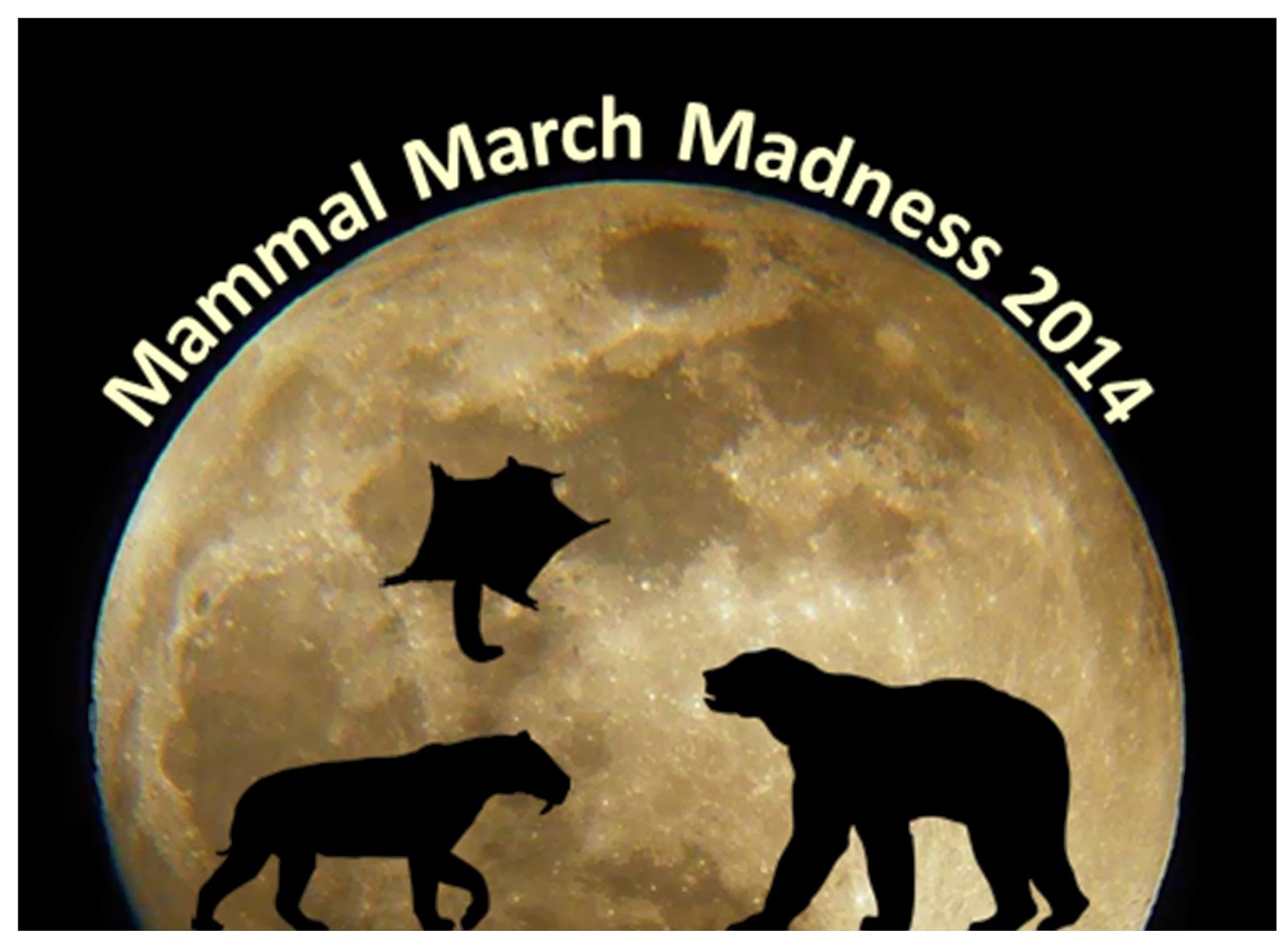 2014MMM March Mammal Madness LibGuides at Arizona State University