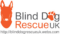 Blind Dog Rescue UK