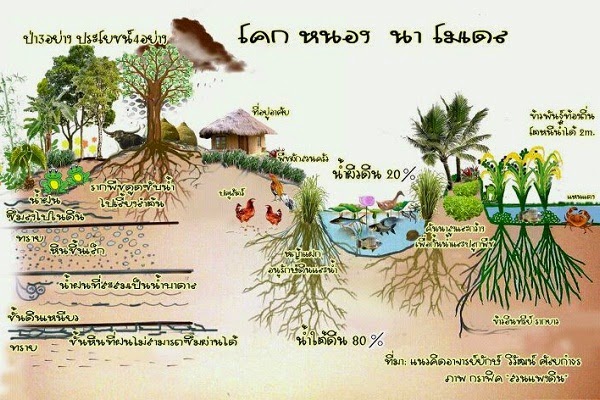 "โคก-หนอง-นา โมเดล" การสร้างวิถีชีวิตที่ยั่งยืน