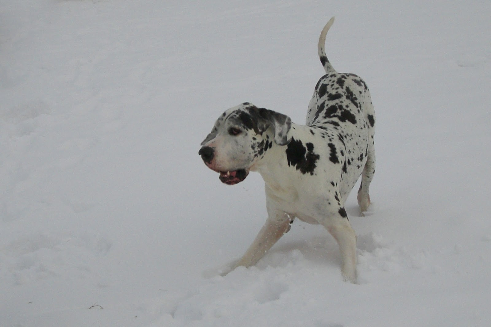 Diy Weihnachtsanhanger Aus Modelliermasse Stuhle Im Eams Look
