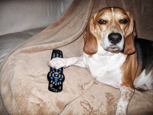 BEAGLE WITH CONTROL