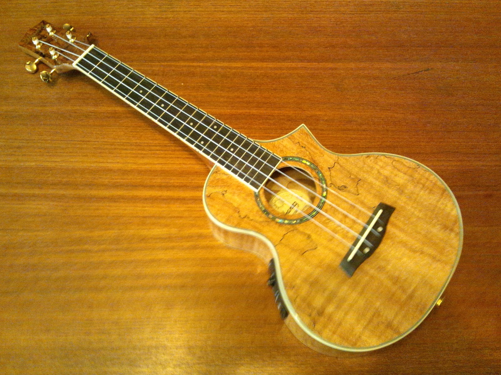 The Day's Angel エレキウクレレ「Ibanez UEW20SME」ゲット！