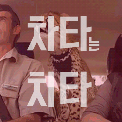 오늘의유머 - 차 더럽게 느리네 차 더럽게 느리네