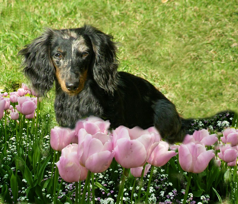 Willkommen In Renates Eckchen