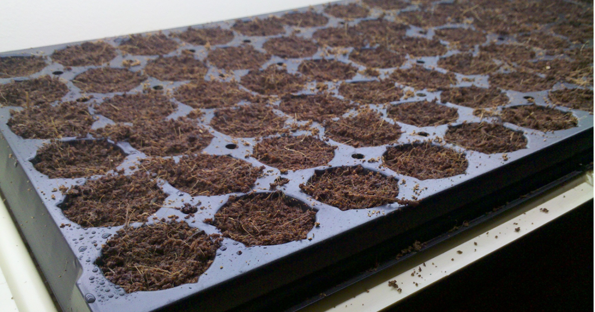 Piedmont Home Vegetable Garden How much does it cost to start your own