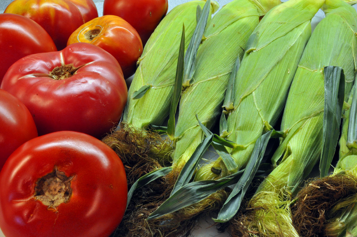 HoCo Connect Corn and tomatoes What we all what for Summer to bring us