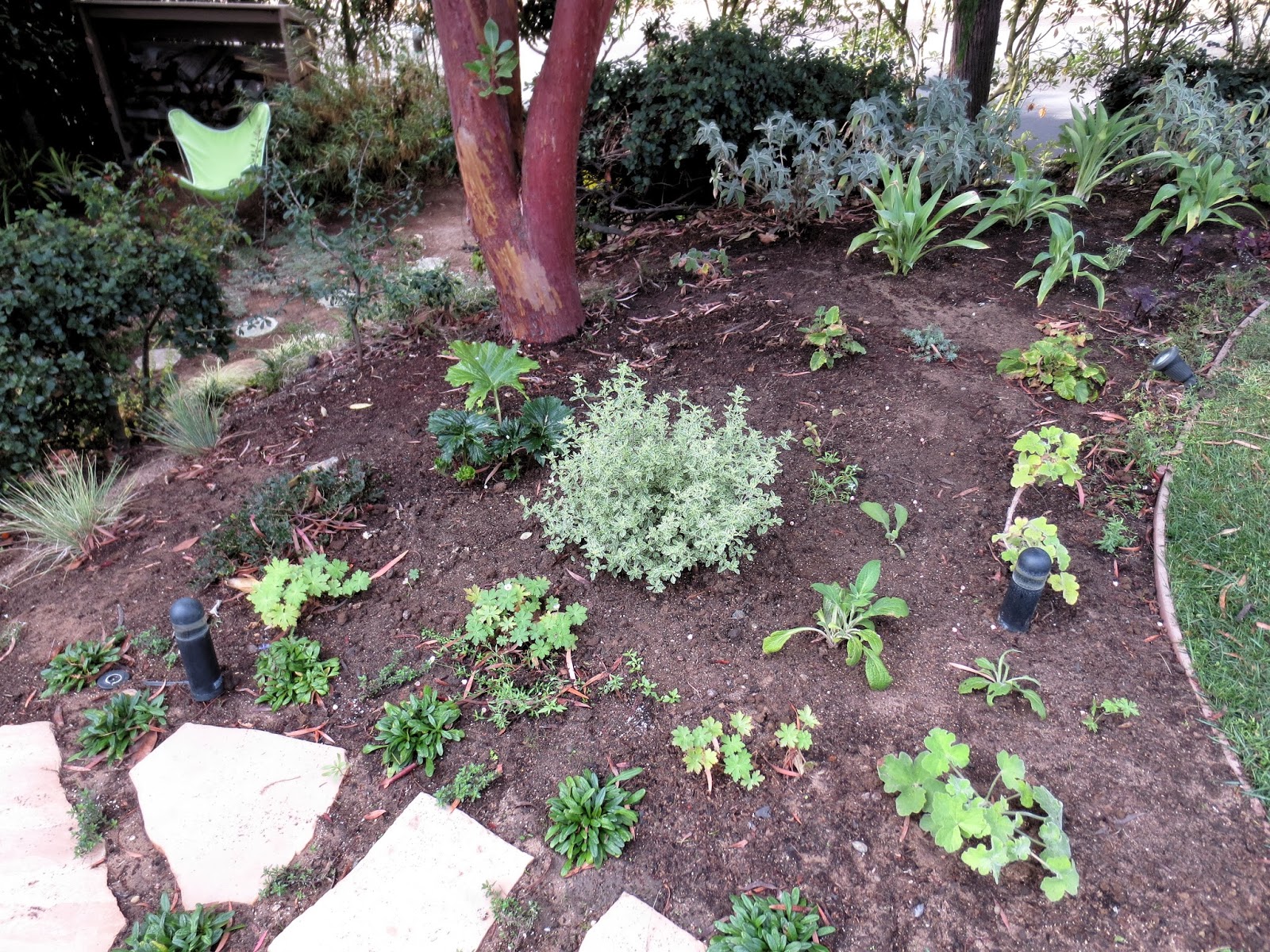 Norm S Nursery Rivers Of Life