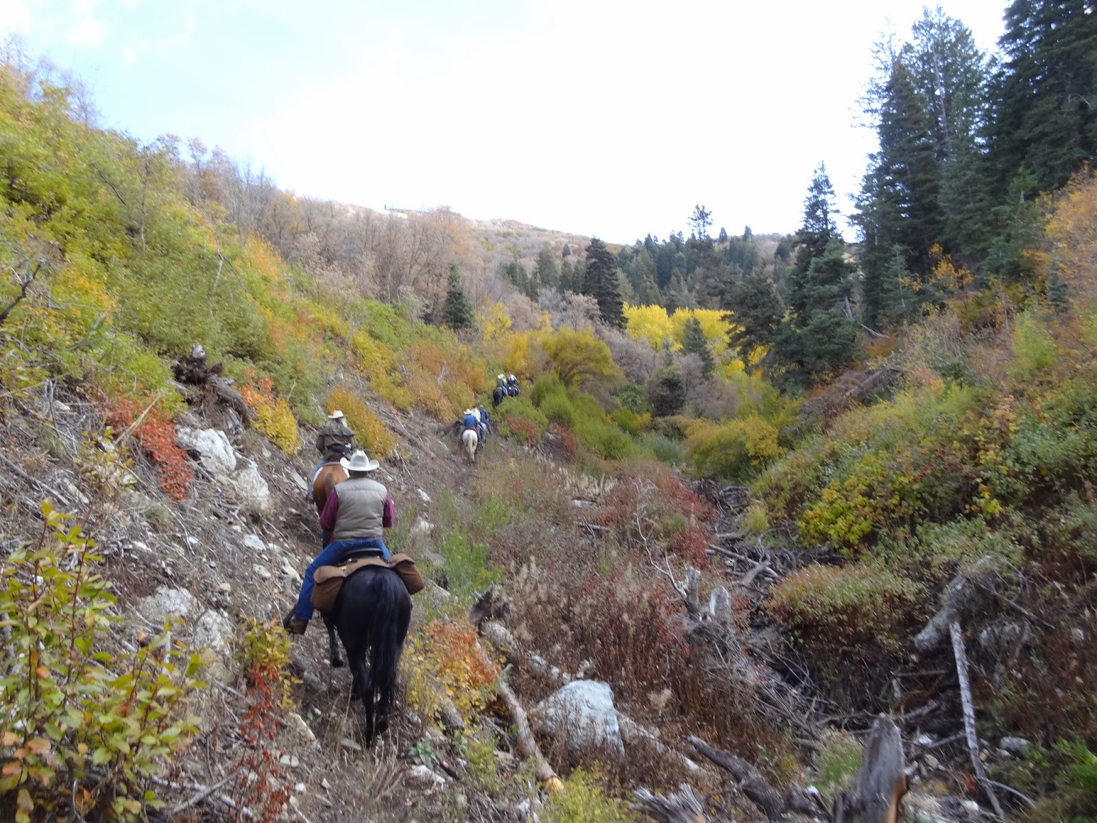 Dream Packer Trail Adventures Holbrook Canyon, Bountiful, Utah