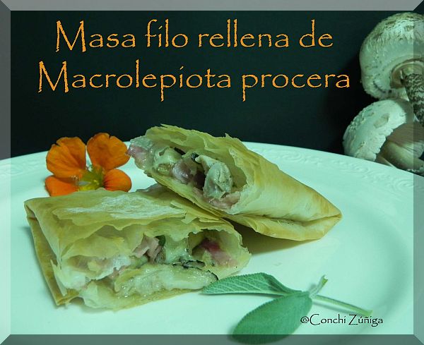Masa Filo Rellena De Macrolepiota Procera