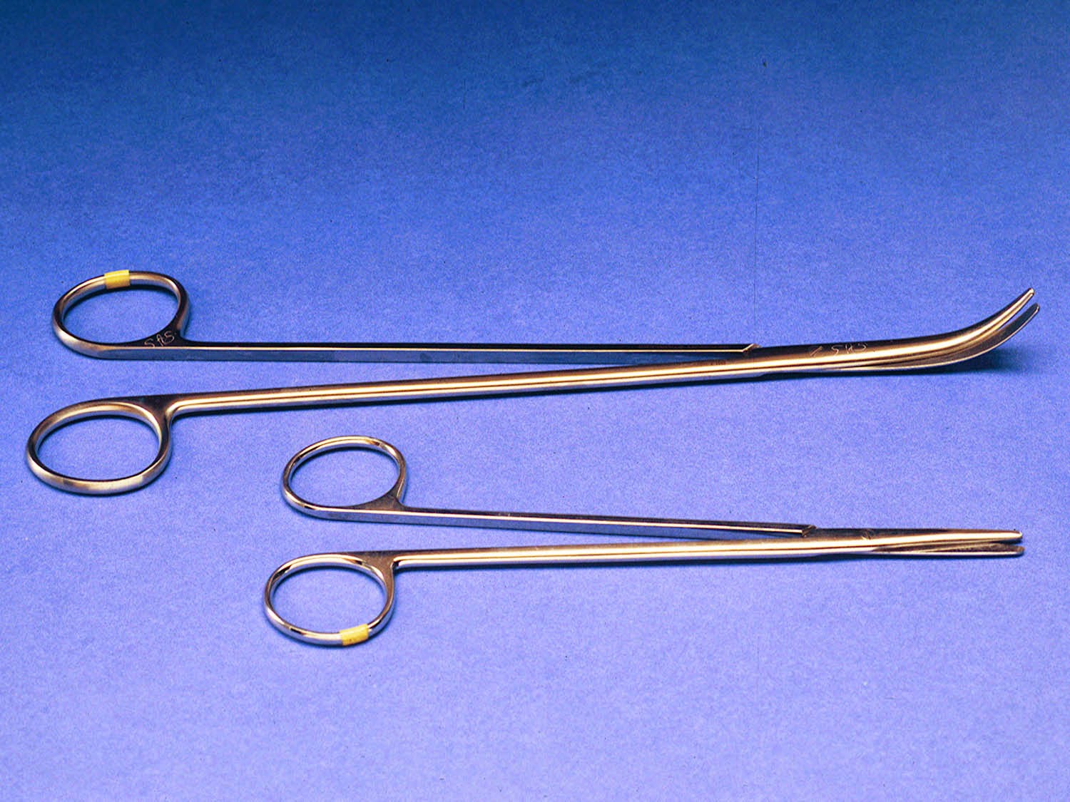 Veterinary Key Points Surgical Correction of Enlongated Soft Palate in