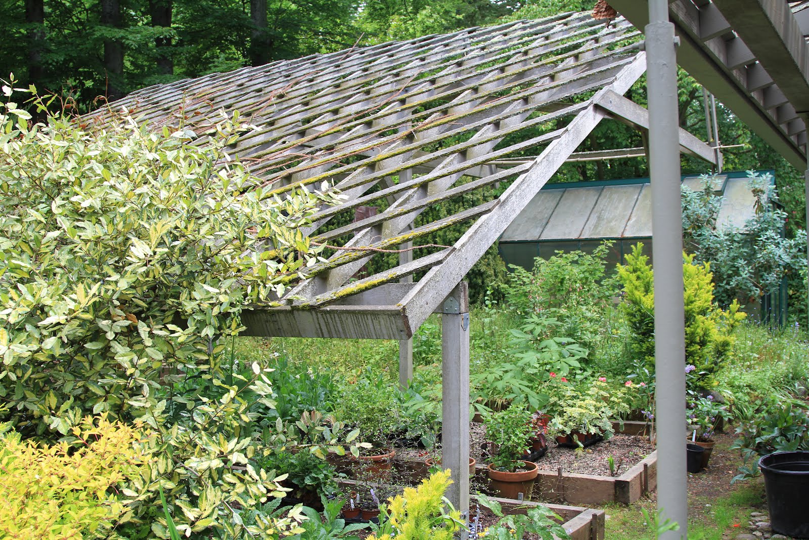 TravelMarx A Visit to Dunn Gardens