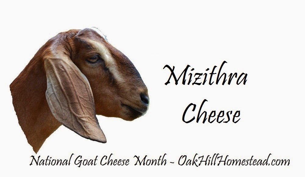 Mizithra Cheese National Goat Cheese Month Oak Hill
