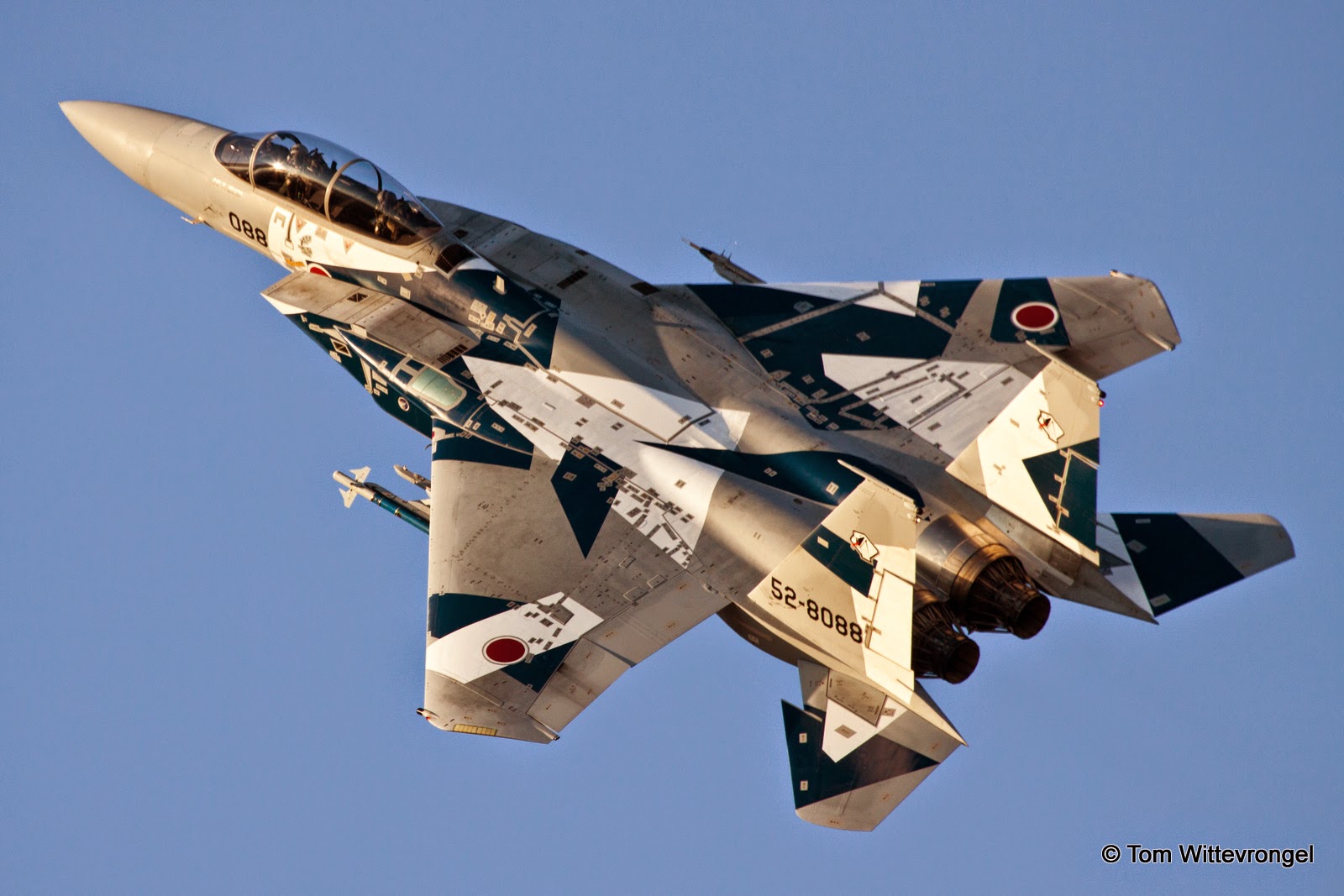 Japanese F-15J/DJ Aggressors from Hiko Kyodogun JASDF Squadron.