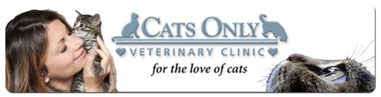 Cats Only Veterinary Clinic
