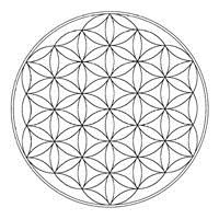 Shamballa MDH 11 floarea+vietii