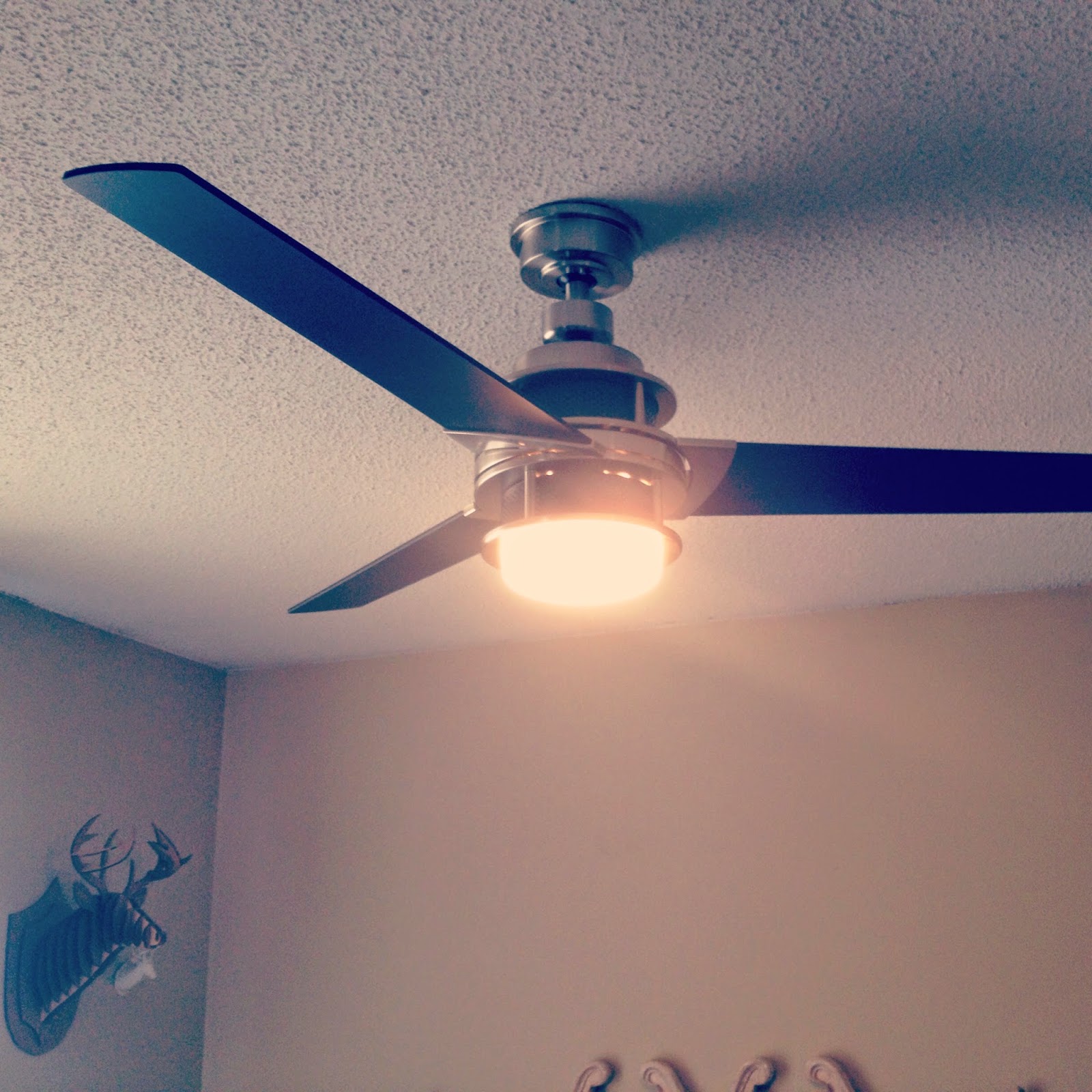 Our Piece Of Split House Bright Lights