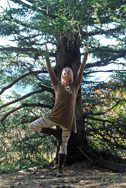 organic+long+sleeve+tunic - Spirit Tree Organic Tunic : Eco Friendly Fashion